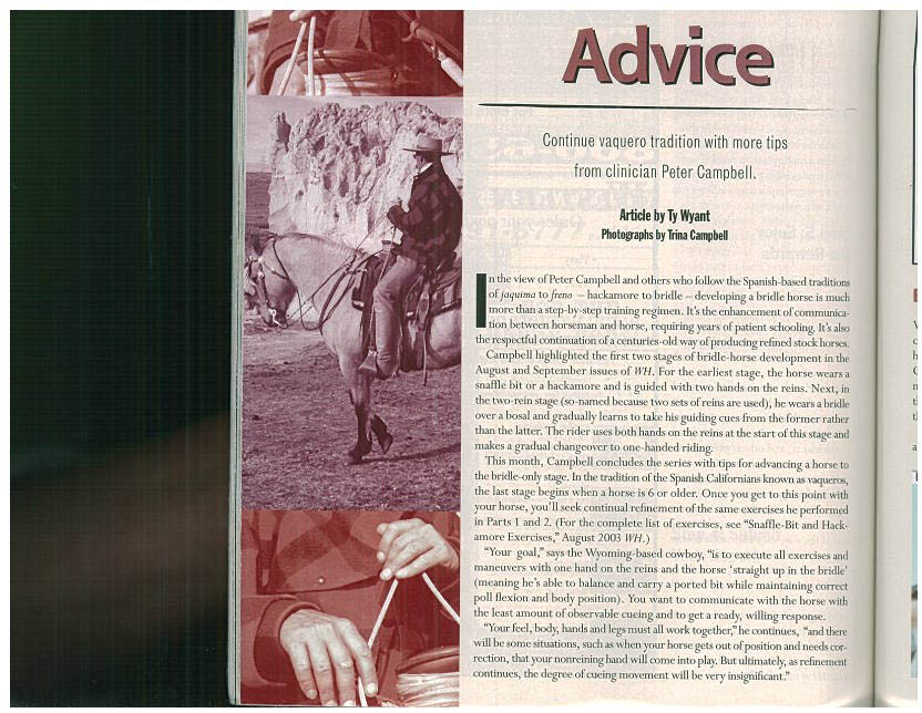 Campbell bridle-horse advice.1