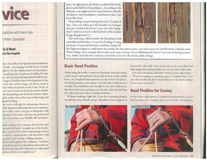 Campbell bridle-horse advice.2