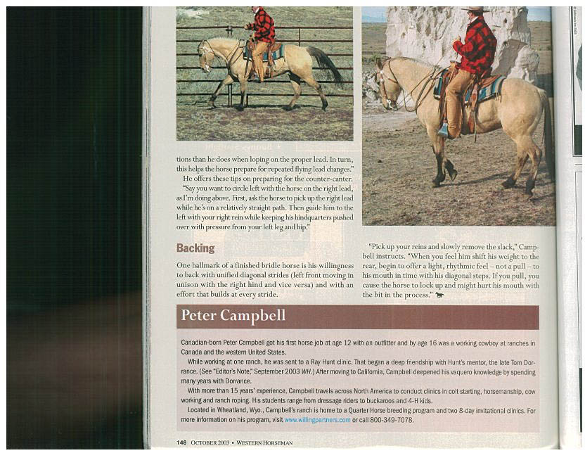 campbell bridle-horse advice.4